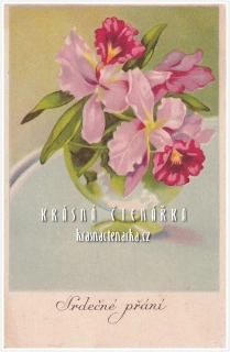 BLAHOPŘÁNÍ květinové, ORCHIDEJE