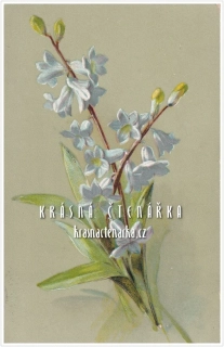 BLAHOPŘÁNÍ květinové