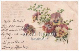 BLAHOPŘÁNÍ květinové, MACEŠKY