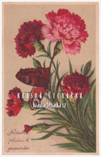 BLAHOPŘÁNÍ květinové, KARAFIÁTY