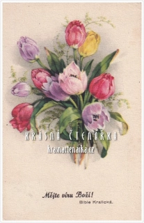 BLAHOPŘÁNÍ květinové, TULIPÁNY