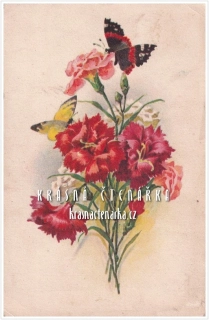 BLAHOPŘÁNÍ květinové, KARAFIÁTY