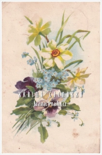 BLAHOPŘÁNÍ květinové, NARCIS