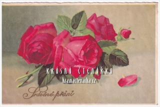 BLAHOPŘÁNÍ květinové, RŮŽE
