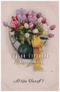 BLAHOPŘÁNÍ květinové, TULIPÁNY - AŤ ŽIJE JOSEF