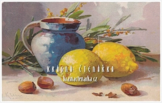 BLAHOPŘÁNÍ s citróny, il. Catharina Klein