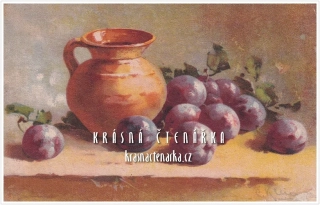 BLAHOPŘÁNÍ se švestkami, il. Catharina Klein