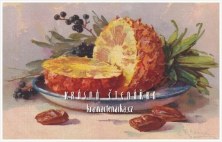 BLAHOPŘÁNÍ s ananasem, il. Catharina Klein