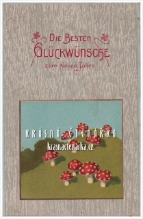 BLAHOPŘÁNÍ muchomůrky
