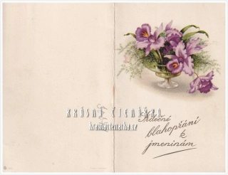 BLAHOPŘÁNÍ květinové, ORCHIDEJE