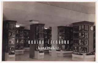 PRAHA (?), Vnitřek obchodu, Atelier Mráz, Praha