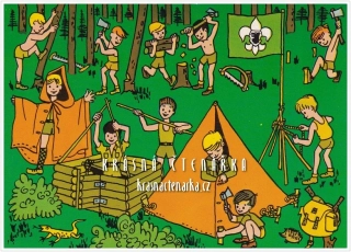 JUNÁCKÝ MOTIV (il. Havlíčková Eva)