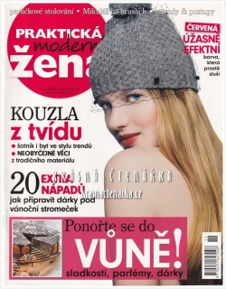 Časopis PRAKTICKÁ MODERNÍ ŽENA 2008/11
