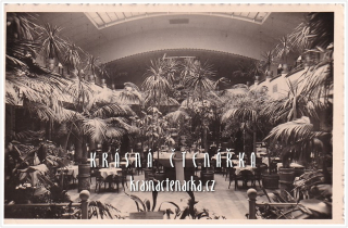 HRADEC KRÁLOVÉ, Palmová zahrada