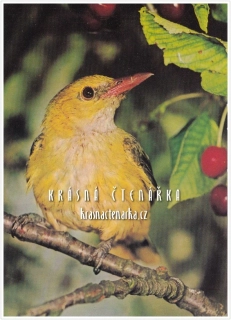 ŽLUVA OBECNÁ