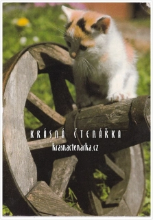 KOČKA