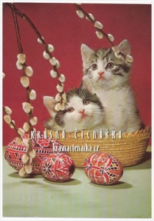 KOŤÁTKA velikonoční
