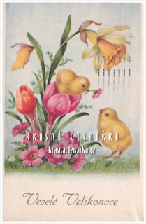 VELIKONOČNÍ pohlednice