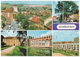 BOSKOVICE
