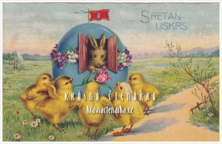 VELIKONOČNÍ pohlednice a kuřátka na návštěvě