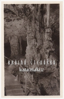 PUNKEVNÍ JESKYNĚ, Moravský kras