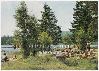 ŘÁSNÁ, Velký pařezitý rybník