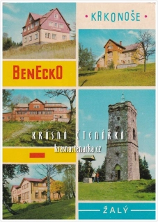 BENECKO - ŽALÝ