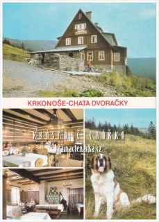ROKYTNICE NAD JIZEROU, Chata DVORAČKY