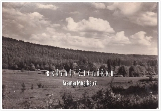 KDYNĚ, Chatový tábor