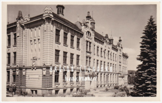 CVIKOV, Škola