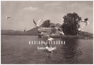 MÁCHOVO JEZERO, Zřícenina tvrze Myšlín