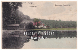 HAMR NA JEZEŘE, Hotel Seehof