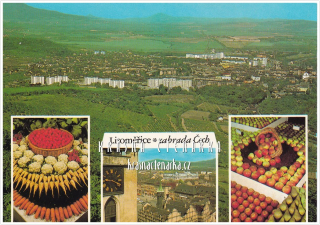 LITOMĚŘICE, Výstava Zahrada Čech