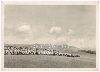 Dlouhý vrch u Litoměřic