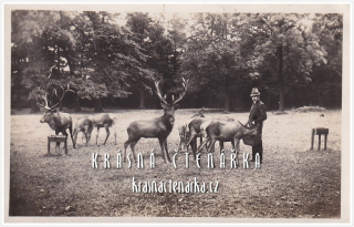 DUBÍ, Hochwildpark Teppelburg