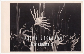 ŽELEZNÝ BROD, Výstavní sklářské trhy 1938