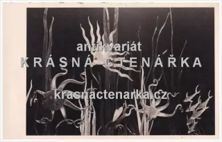 ŽELEZNÝ BROD (Výstavní sklářské trhy 1938)