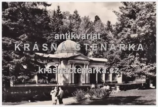 MARIÁNSKÉ LÁZNĚ (Lesní pramen)