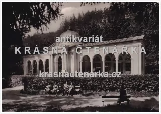 MARIÁNSKÉ LÁZNĚ (Lesní pramen)